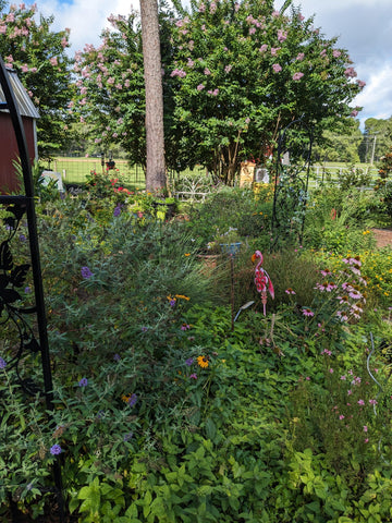 Rooterville A Sanctuary Inc Wedding Ceremony with Rescued Farm Animals & Butterflies!